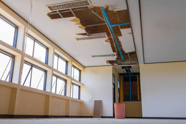 Best Sewage cleanup and water damage restoration  in Jamestown, TN