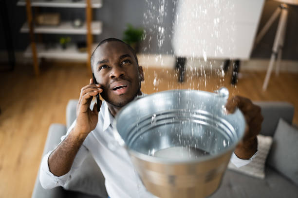 Best Water damage restoration near me  in Jamestown, TN