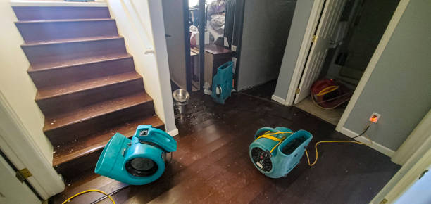 Best Carpet water damage restoration  in Jamestown, TN