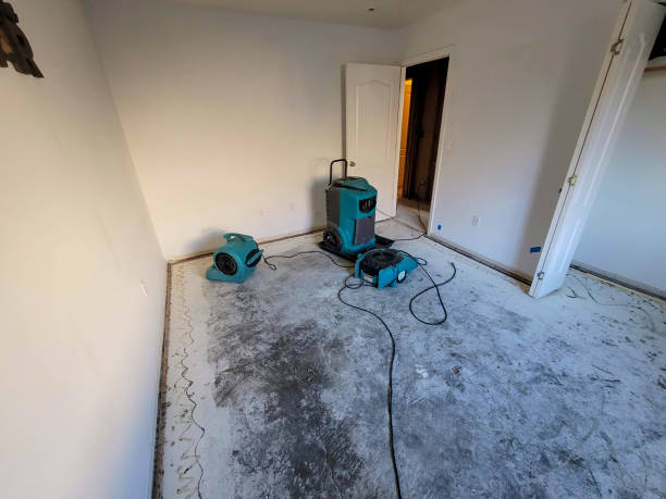 Water damage restoration mold remediation in TN