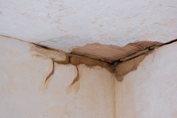 Sewage cleanup and water damage restoration in TN