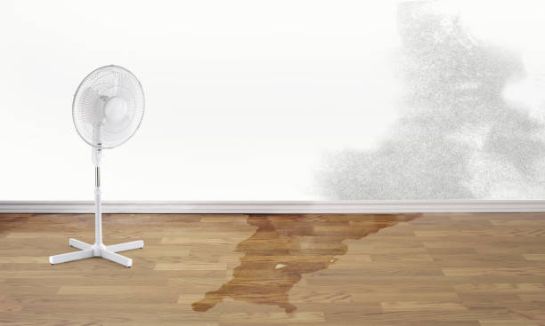 Best Flooded house restoration  in Jamestown, TN