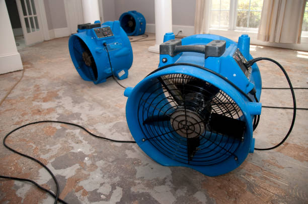 Best Sewage cleanup and water damage restoration  in Jamestown, TN