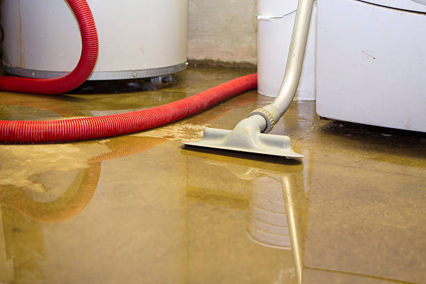 Best Flood damage cleanup  in Jamestown, TN