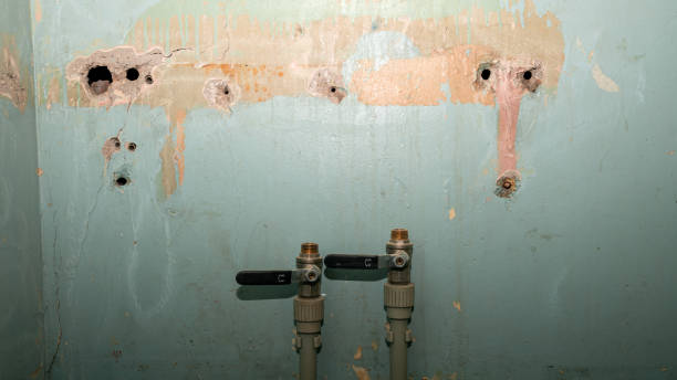 Water damage restoration process in TN