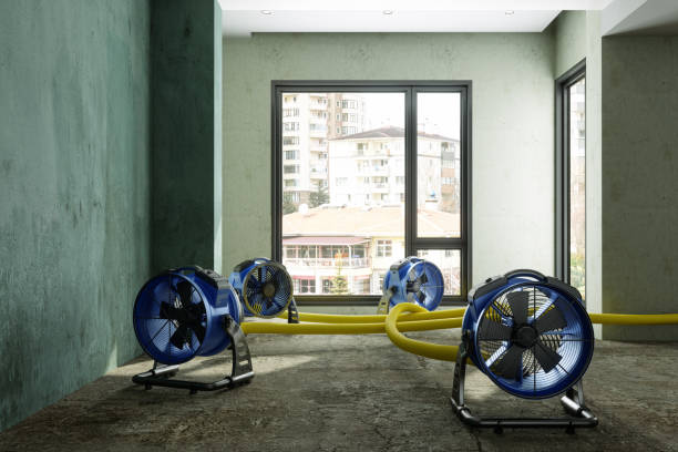 Best 24/7 water damage repair  in Jamestown, TN
