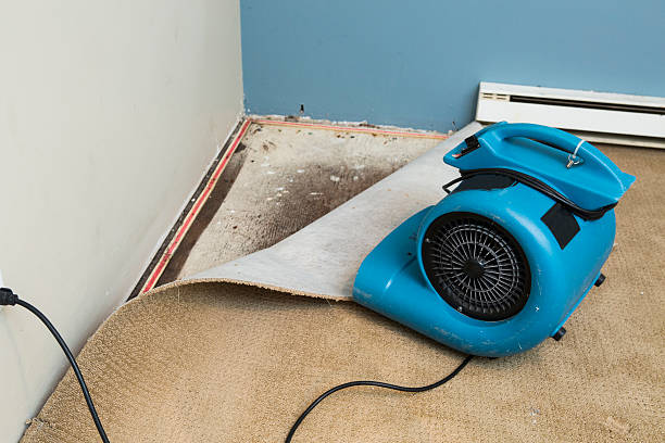 Best Commercial water damage restoration  in Jamestown, TN